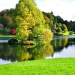 Avatar de Iker Padilla