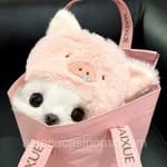 Avatar de Ximena Rojas